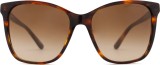 Ralph Lauren 0RL 8201 500713 56 18619