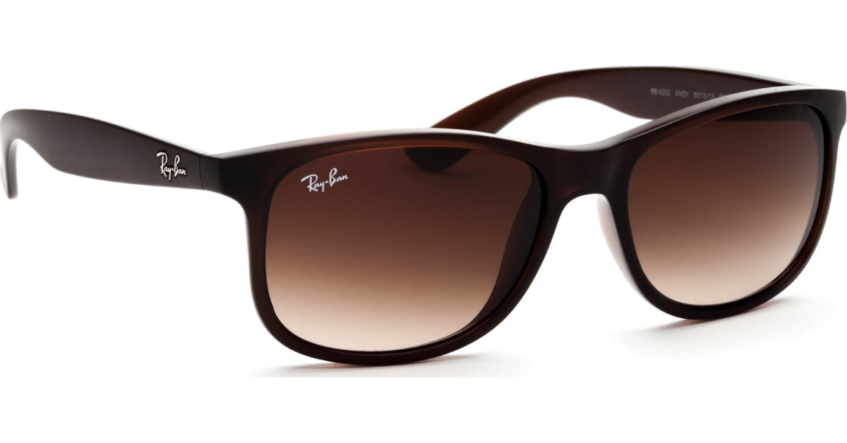 Image of Ray-Ban Andy RB4202 607313 55