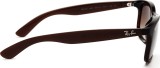 Ray-Ban Andy RB4202 607313 55 123