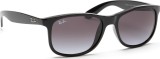 Ray-Ban Andy RB4202 601/8G 55