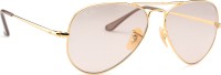 Ray-Ban Aviator Metal II RB3689 001/T5