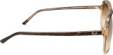 Ray-Ban Bill RB2198 129251 60 17376