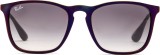 Ray-Ban Chris RB4187 631611 54 1073