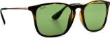 Ray-Ban Chris RB4187 6393/2 54 9179