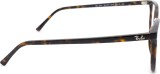 Ray-Ban Elliot 0RX5397 2012 50 19427
