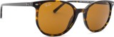 Ray-Ban Elliot RB2197 902/33 52 18790