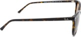 Ray-Ban Elliot RB2197 902/33 52 18790