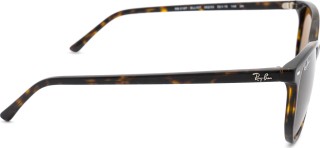 Ray-Ban Elliot RB2197 902/33 52 18790