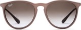 Ray-Ban Erika RB4171 600068 54 144