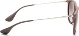 Ray-Ban Erika RB4171 600068 54 145
