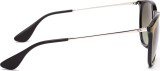 Ray-Ban Erika RB4171 6316E8 54 1264