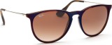 Ray-Ban Erika RB4171 631513 54 2654