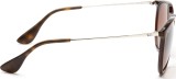 Ray-Ban Erika RB4171 631513 54 2654
