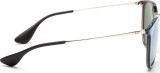 Ray-Ban Erika RB4171 631930 54 2807