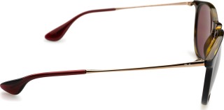 Ray-Ban Erika RB4171 639175 54 9216