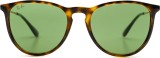 Ray-Ban Erika RB4171 6393/2 54 9458