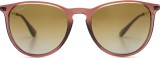 Ray-Ban Erika RB4171 6593T5 54 16860