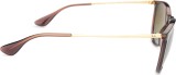 Ray-Ban Erika RB4171 6593T5 54 16861