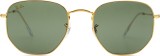 Ray-Ban Hexagonal RB3548 919631 15504