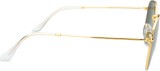 Ray-Ban Hexagonal RB3548 919631 15505