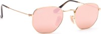 Ray-Ban Hexagonal RB3548N 001/Z2