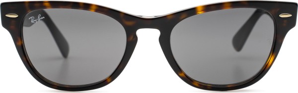 Ray-Ban Laramie RB2201 902/B1 54
