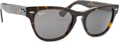 Ray-Ban Laramie RB2201 902/B1 54