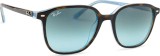 Ray-Ban Leonard RB2193 13163M 53 12262