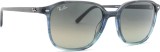 Ray-Ban Leonard RB2193 138171 55 26179