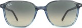 Ray-Ban Leonard RB2193 138171 55 26178