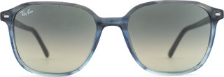 Ray-Ban Leonard RB2193 138171 55 26178