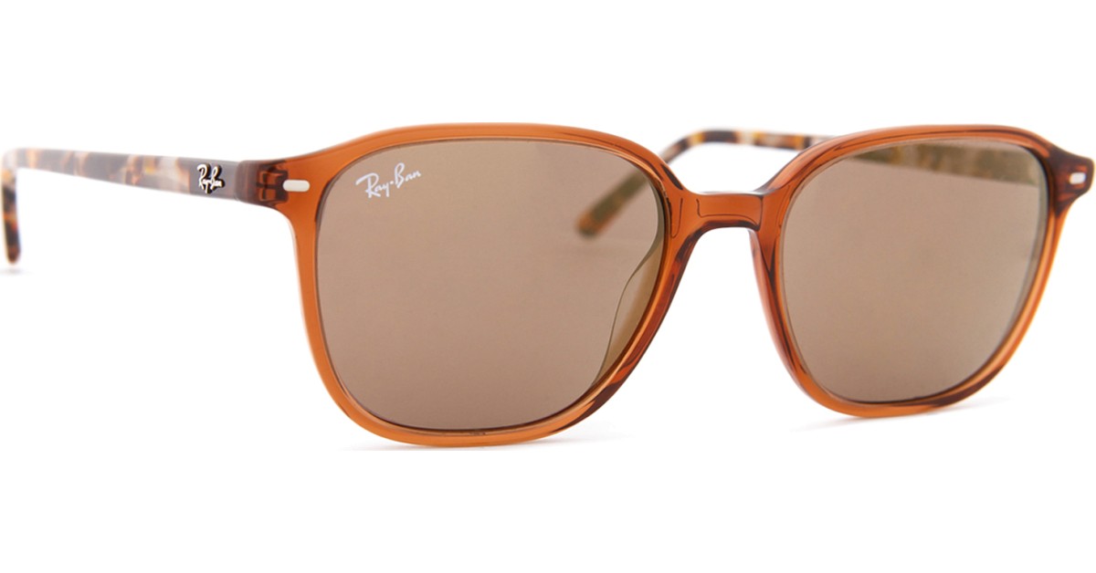 Image of Ray-Ban Leonard RB2193 663693 53