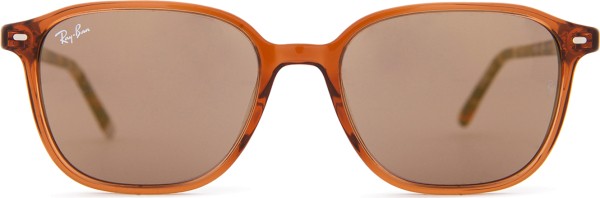 Ray-Ban Leonard RB2193 663693 53