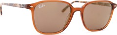 Ray-Ban Leonard RB2193 663693 53