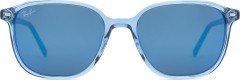 Ray-Ban Leonard RB2193 6638O4 53