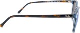 Ray-Ban Leonard RB2193 6638O4 53 22014