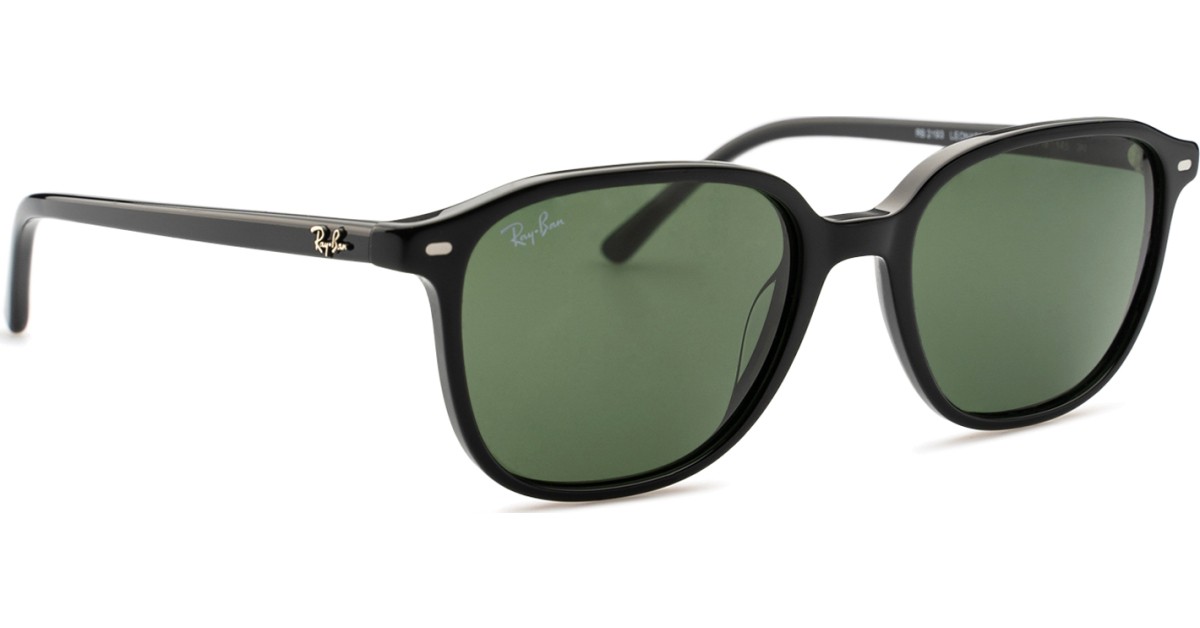 ray-ban leonard rb2193 901/31 53