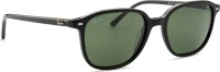 Ray-Ban Leonard RB2193 901/31 53