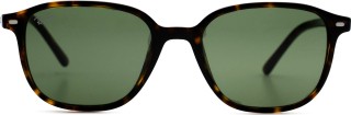 Ray-Ban Leonard RB2193 902/31 9138