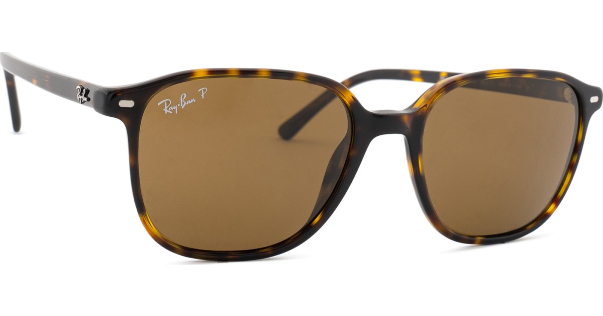 ray-ban leonard rb2193 902/57 53