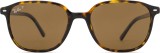 Ray-Ban Leonard RB2193 902/57 53 21446