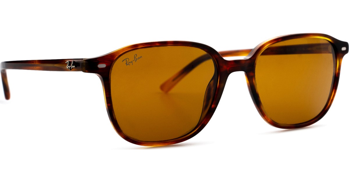 Image of Ray-Ban Leonard RB2193 954/33 53