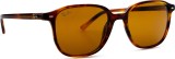 Ray-Ban Leonard RB2193 954/33 53 9147