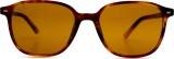 Ray-Ban Leonard RB2193 954/33 53 9146