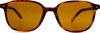 Ray-Ban Leonard RB2193 954/33 53 9146