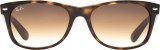 Ray-Ban New Wayfarer RB2132 710/51 6238