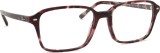 Ray-Ban Raimond 0RX5431 8393 54