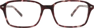 Ray-Ban Raimond 0RX5431 8393 54 37206