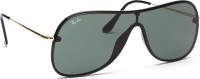 Ray-Ban RB4311N 601/71 38