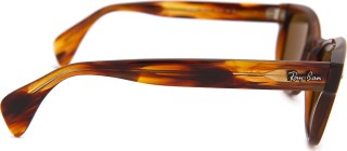 Ray-Ban RB0880S 664057 52 22832